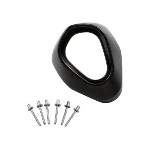 Fojomax - Embout carbone akrapovic cartouche longue