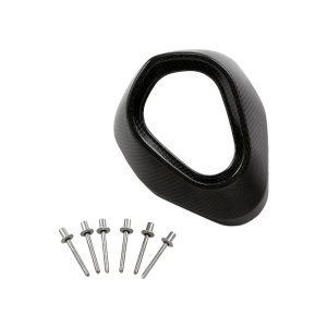 Embout carbone akrapovic cartouche longue