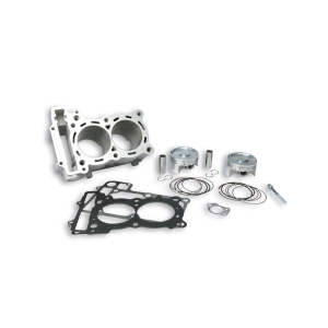 Fojomax - Kit 560 Malossi TMAX 530