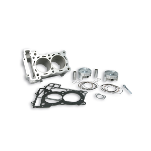Kit 560 Malossi TMAX 530