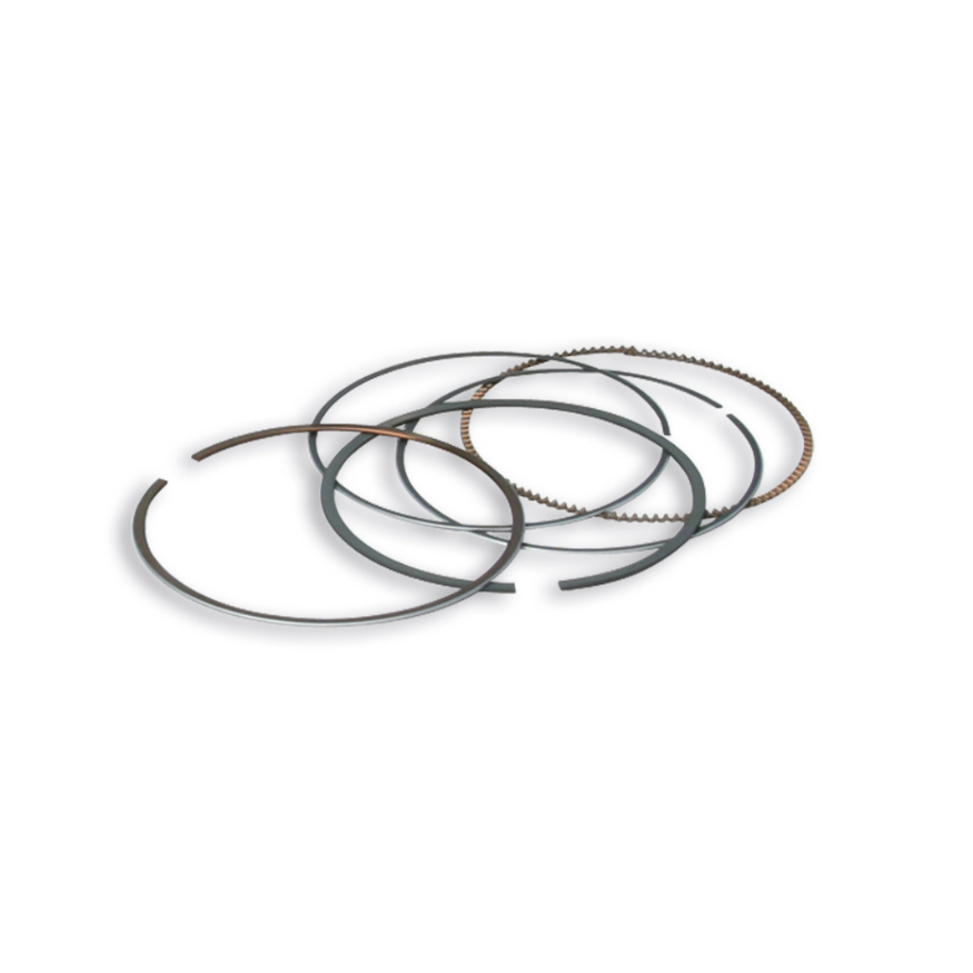 Segments Malossi pour kit 560