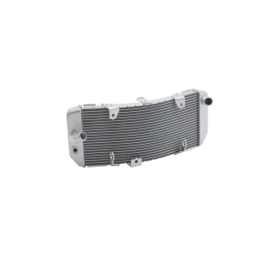 Fojomax - Radiateur aluminium pour Yamaha TMAX 560 & 530 Copier