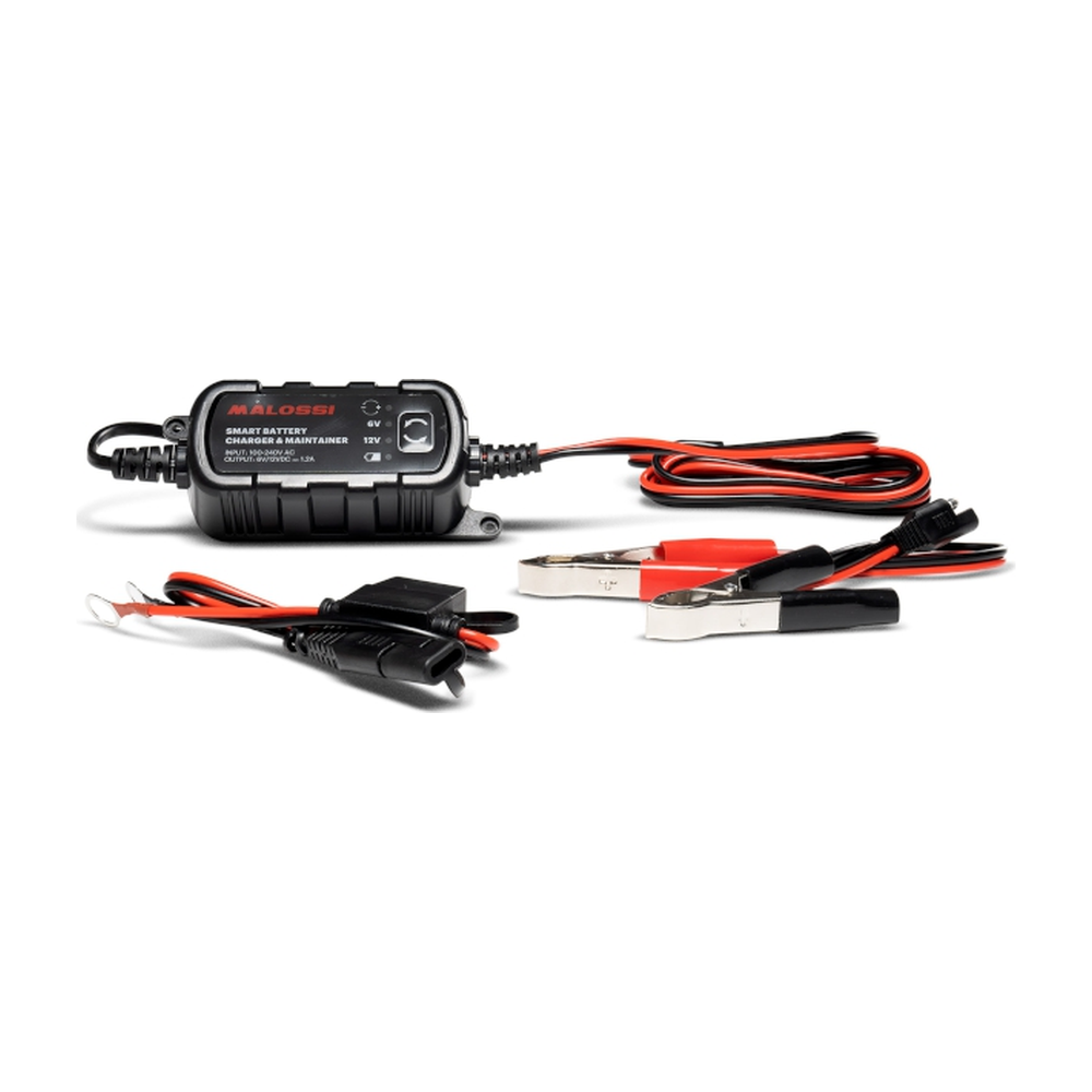 Chargeur de batterie Malossi TMAX